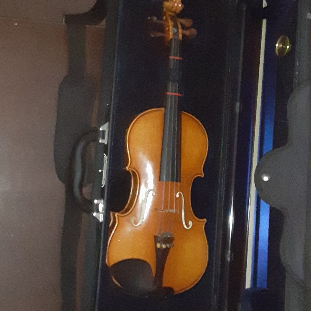 Violin